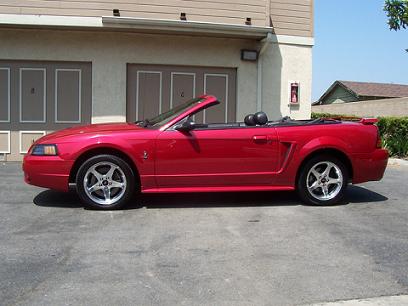 My Cobra My Cobra