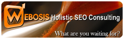 WEBOSIS Holistic SEO Consulting